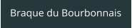 Braque du Bourbonnais