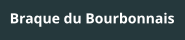Braque du Bourbonnais