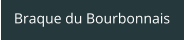 Braque du Bourbonnais
