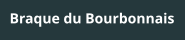 Braque du Bourbonnais